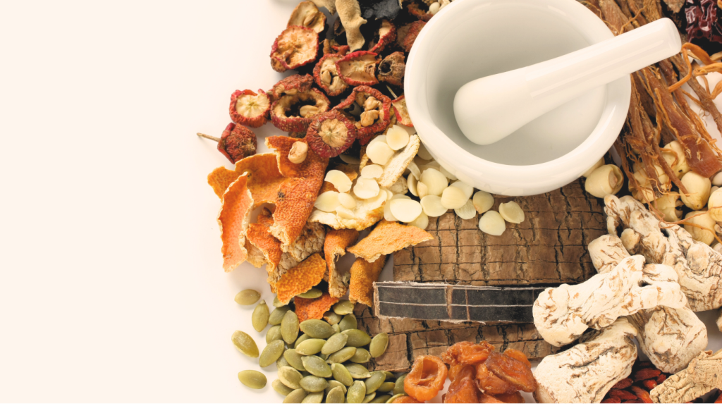 What Is the Holistic Model of Health?